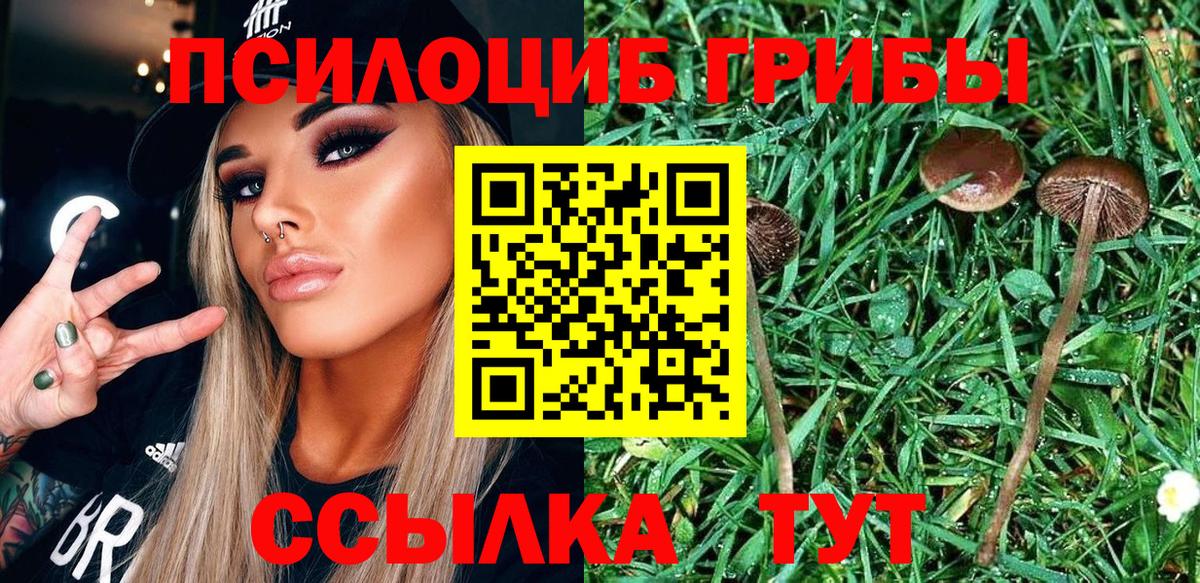 Гатчина  Псилоцибиновые грибы мухоморы  Галлюциногенные грибы прущие грибы  Вход с VPN 
