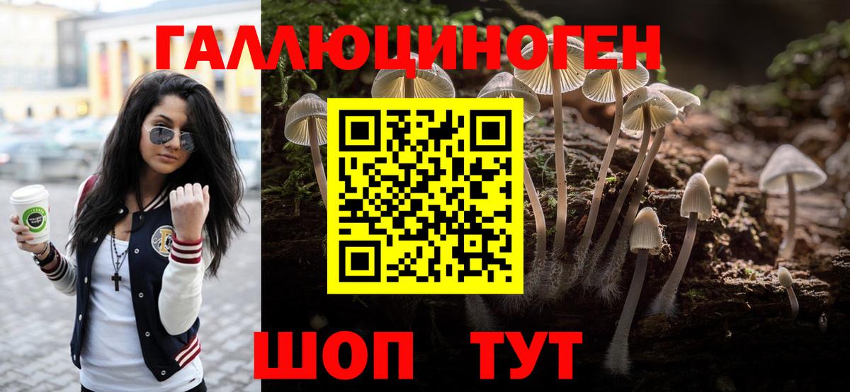 Псилоцибиновые грибы ЛСД Гатчина